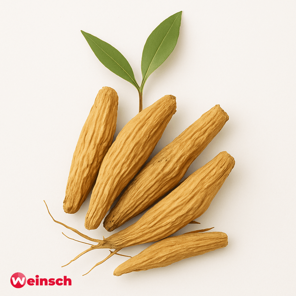 Zhi Mu-Anemarrhena rhizom-Anemarrhena asphodeloides