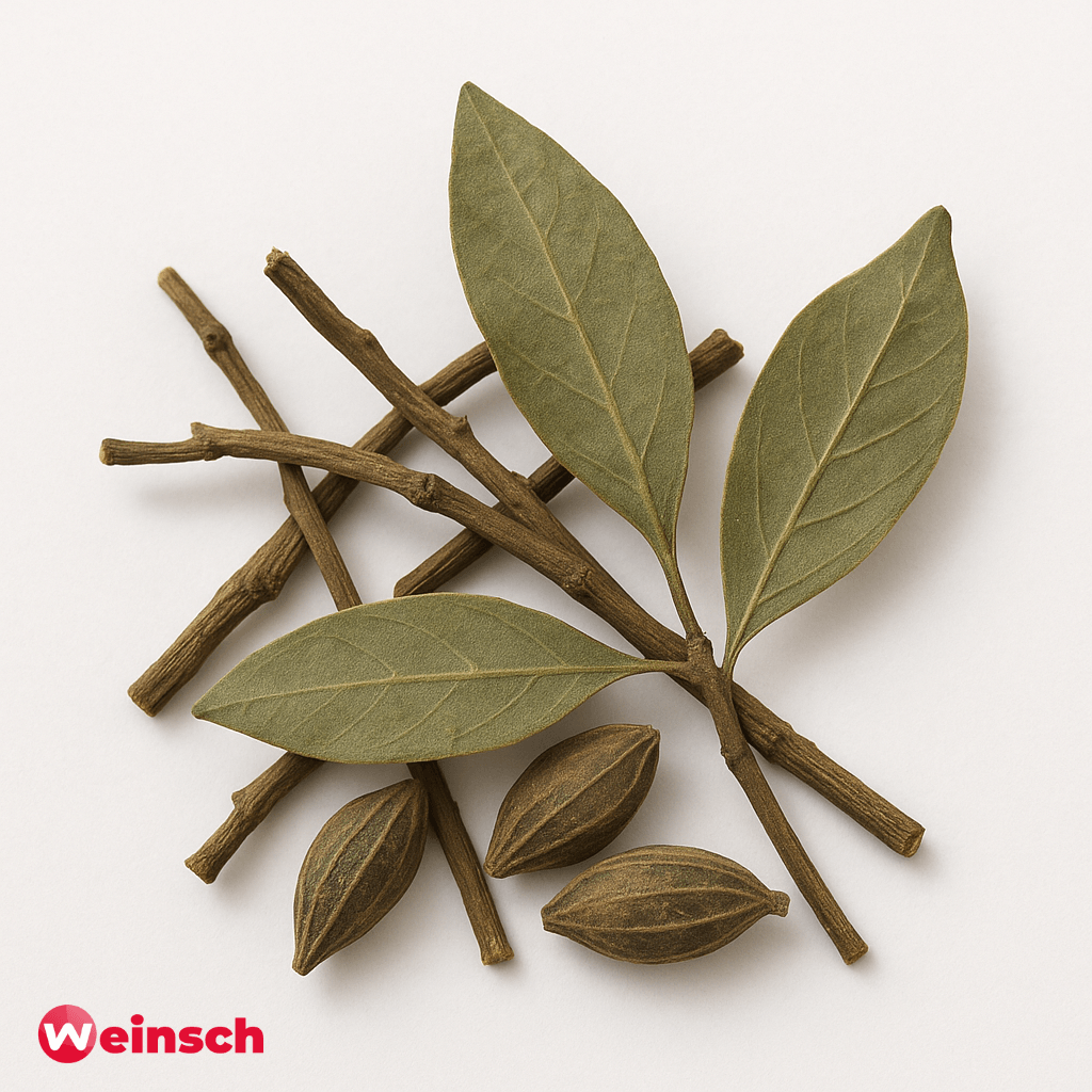 Sang Ji Sheng - Moerbei Maretak - Ramulus Taxilli