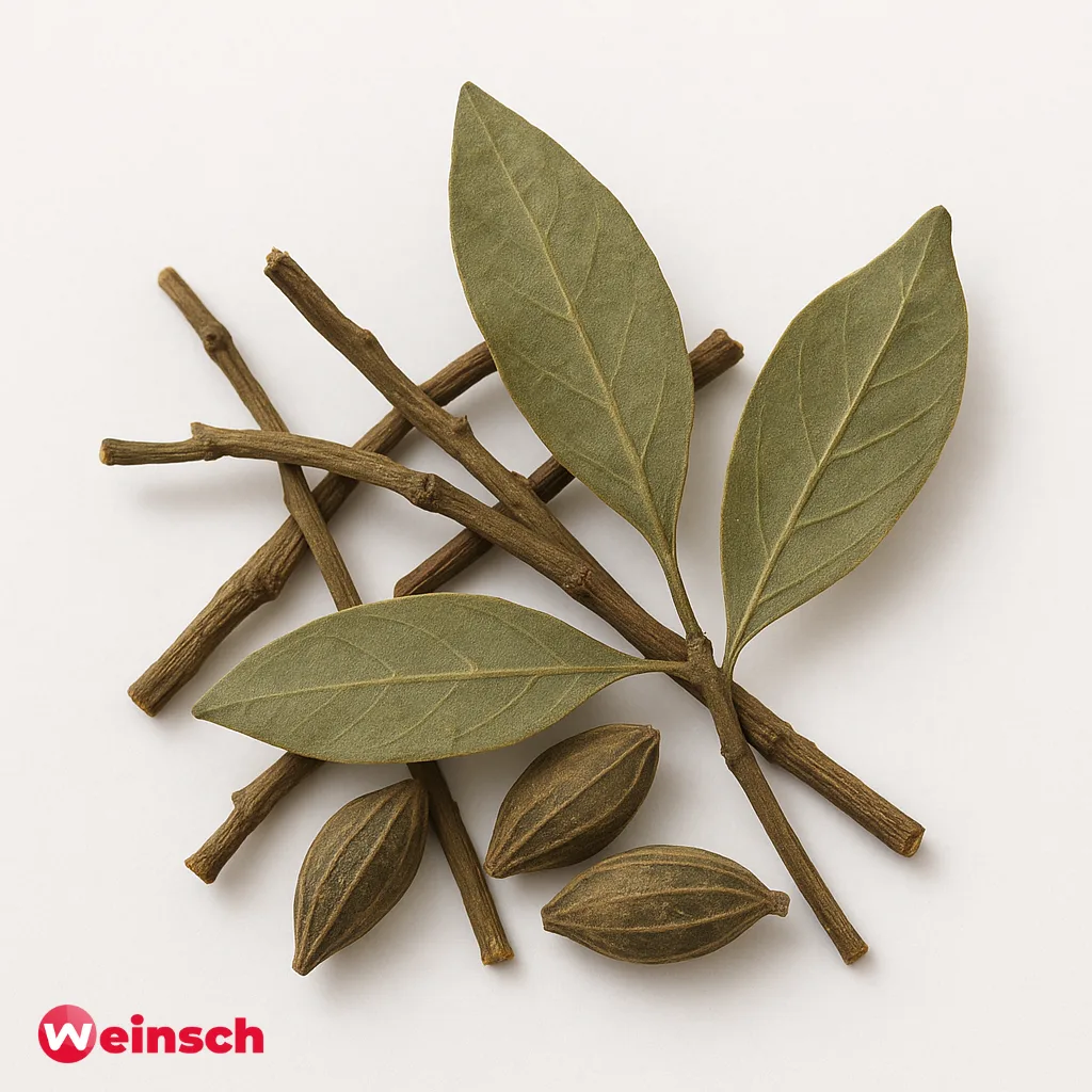 Sang Ji Sheng – Mulberry Mistletoe – Ramulus Taxilli