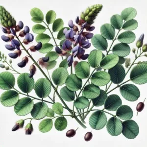 Psoralea Fruit (Bu Gu Zhi)