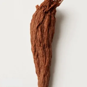 Salvia Root (Dan Shen)