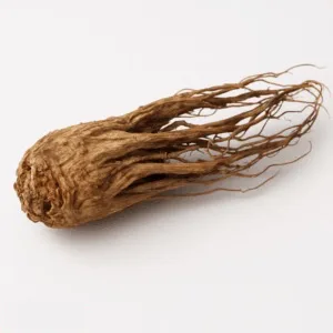 Tail of Chinese Angelica Root (Dang Gui Wei)