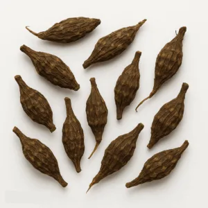 Nutgrass Rhizome (Xiang Fu)