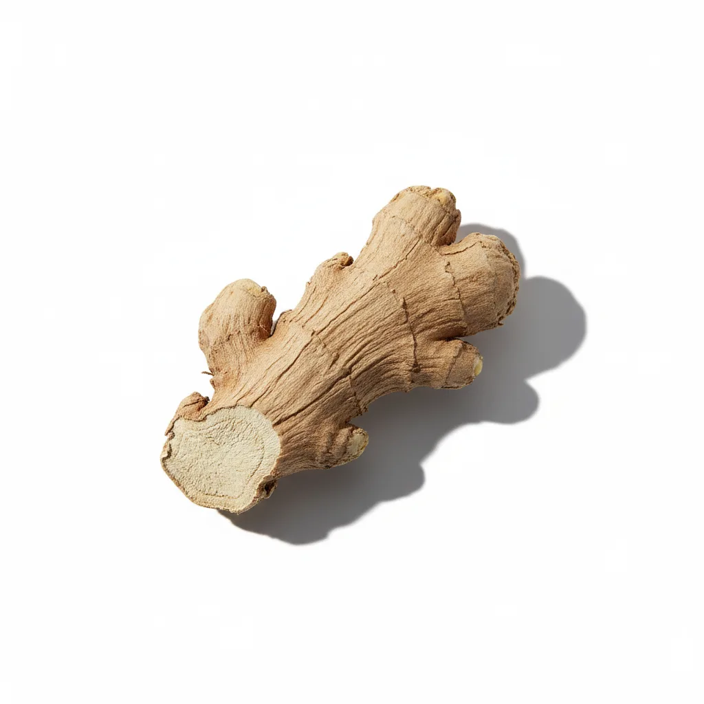 Dried Ginger Rhizome (Gan Jiang)