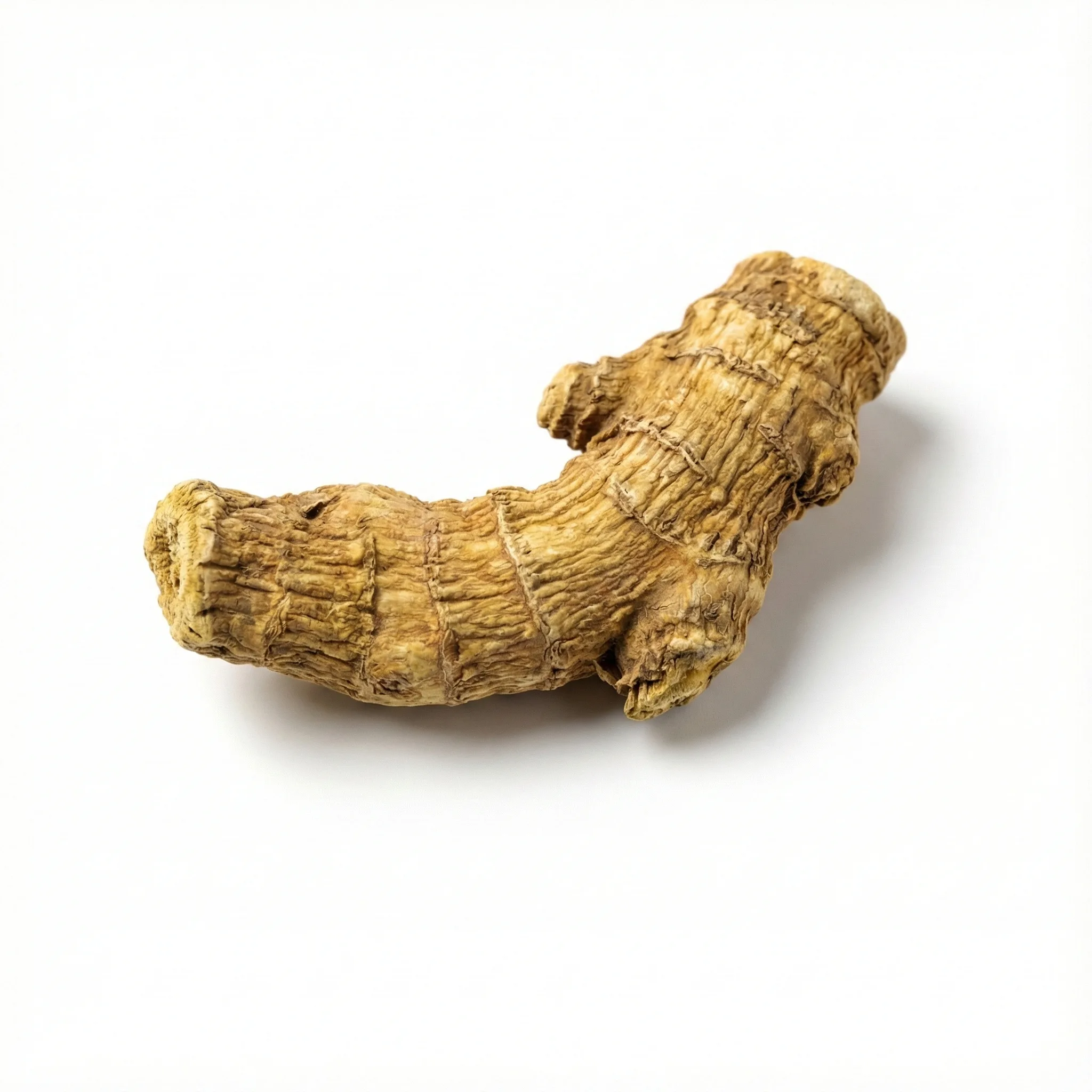 Chinese Skullcap Root (Huang Qin)