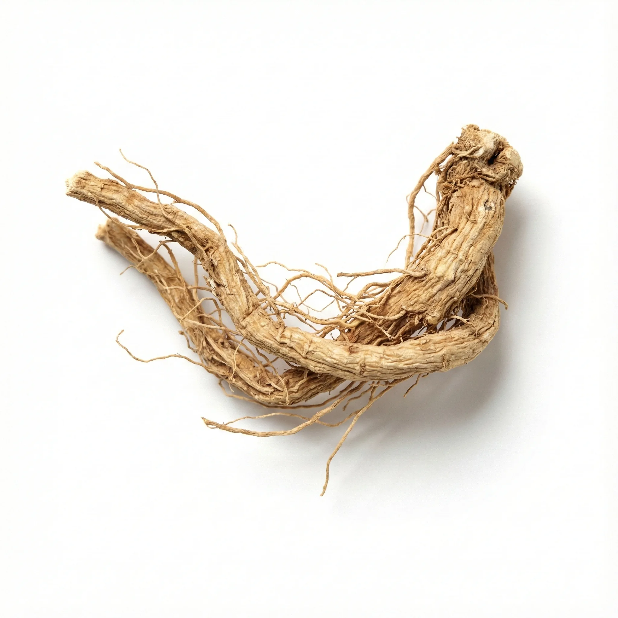 Cynanchum Root (Bai Qian)