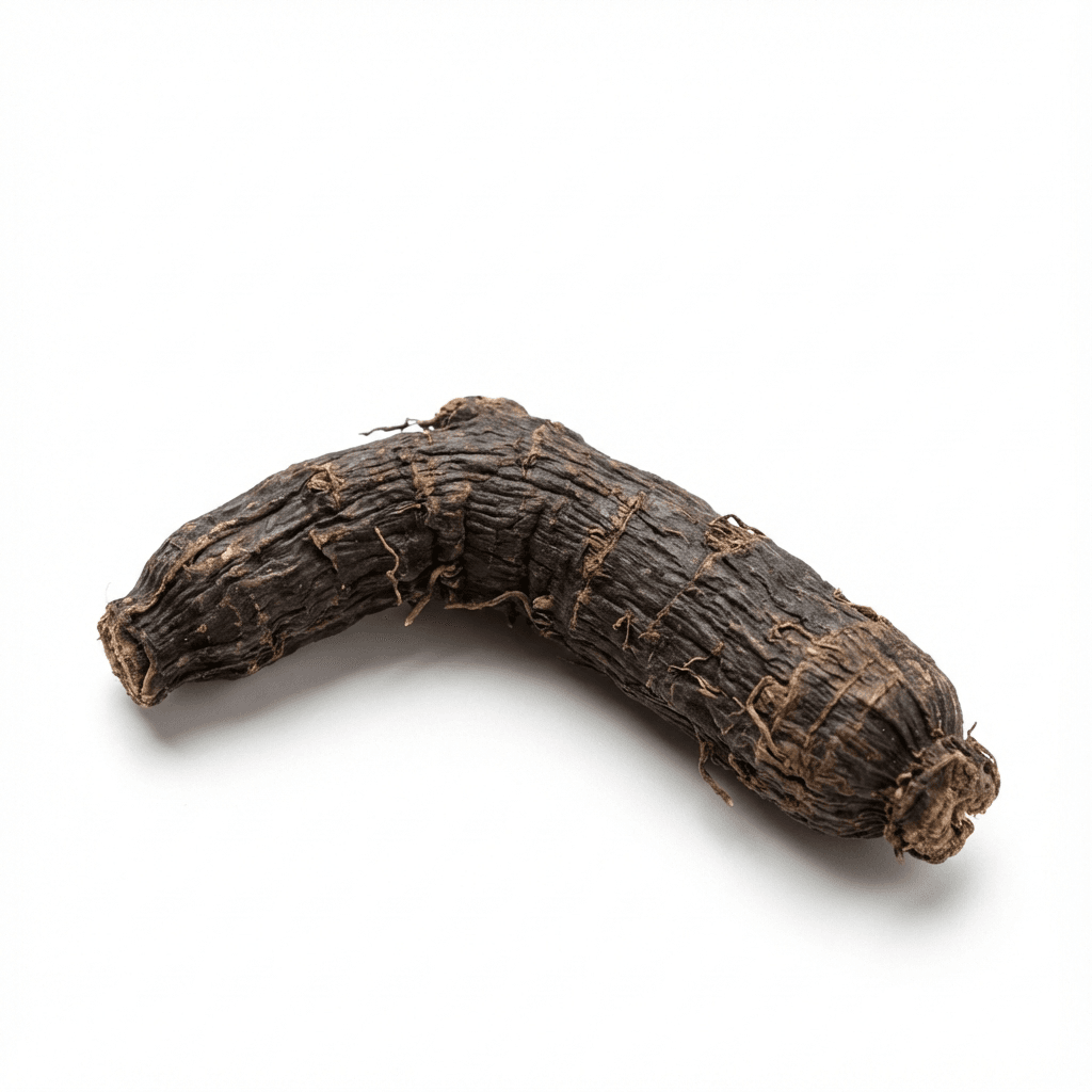 9Curculigo Rhizome (Xian Mao)