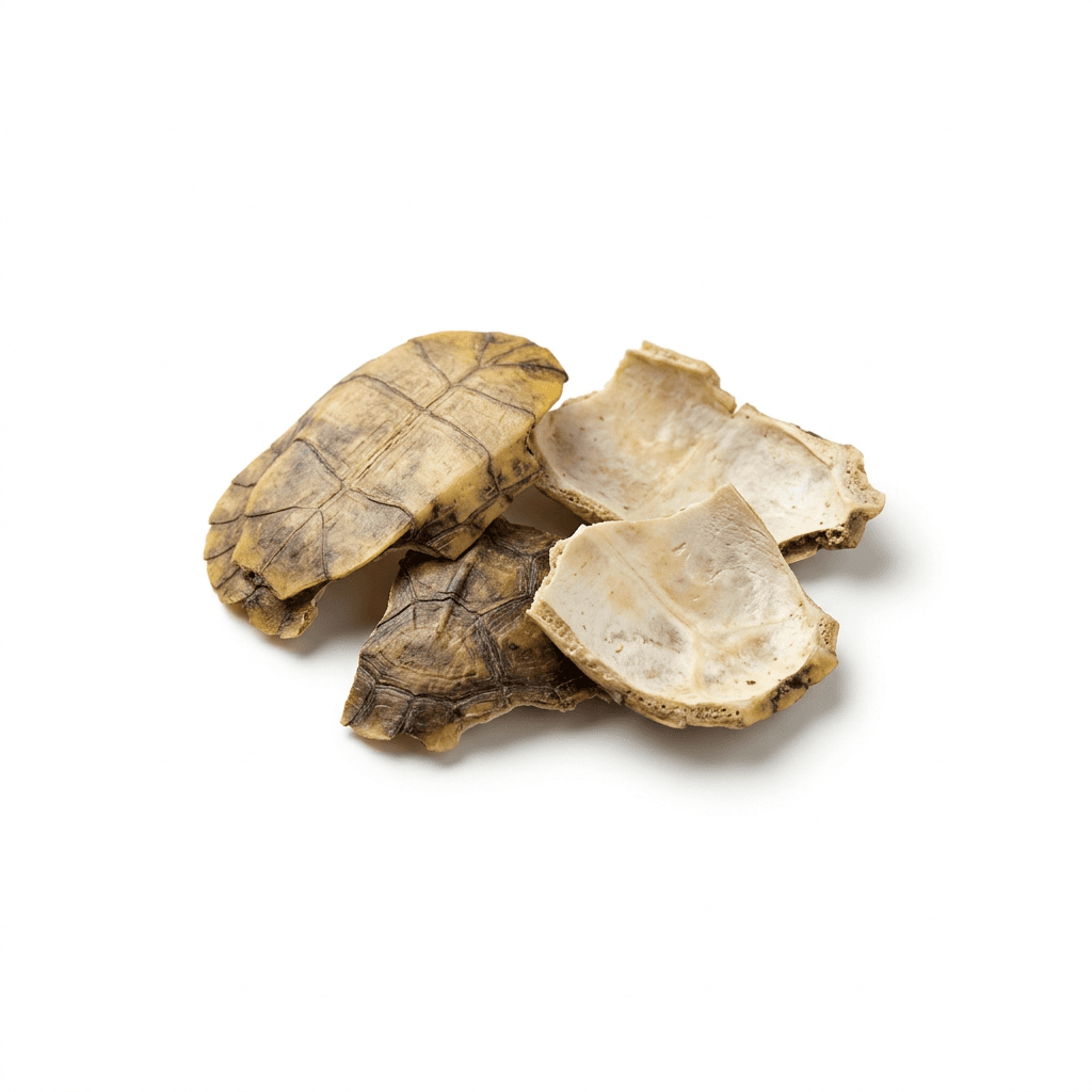 Fresh-Water Turtle Shell (Gui Ban)