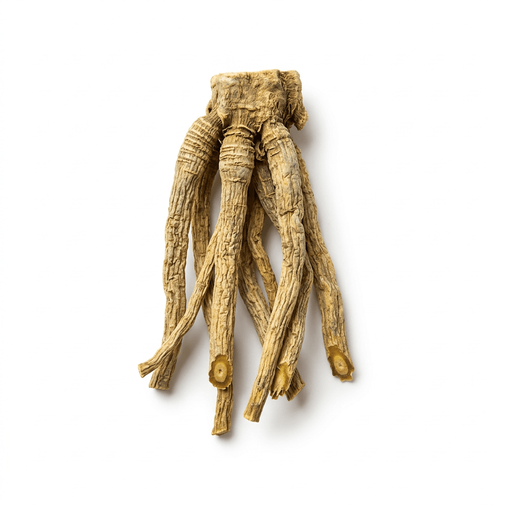 Scabrous Gentian Root & Rhizome (Long Dan Cao)