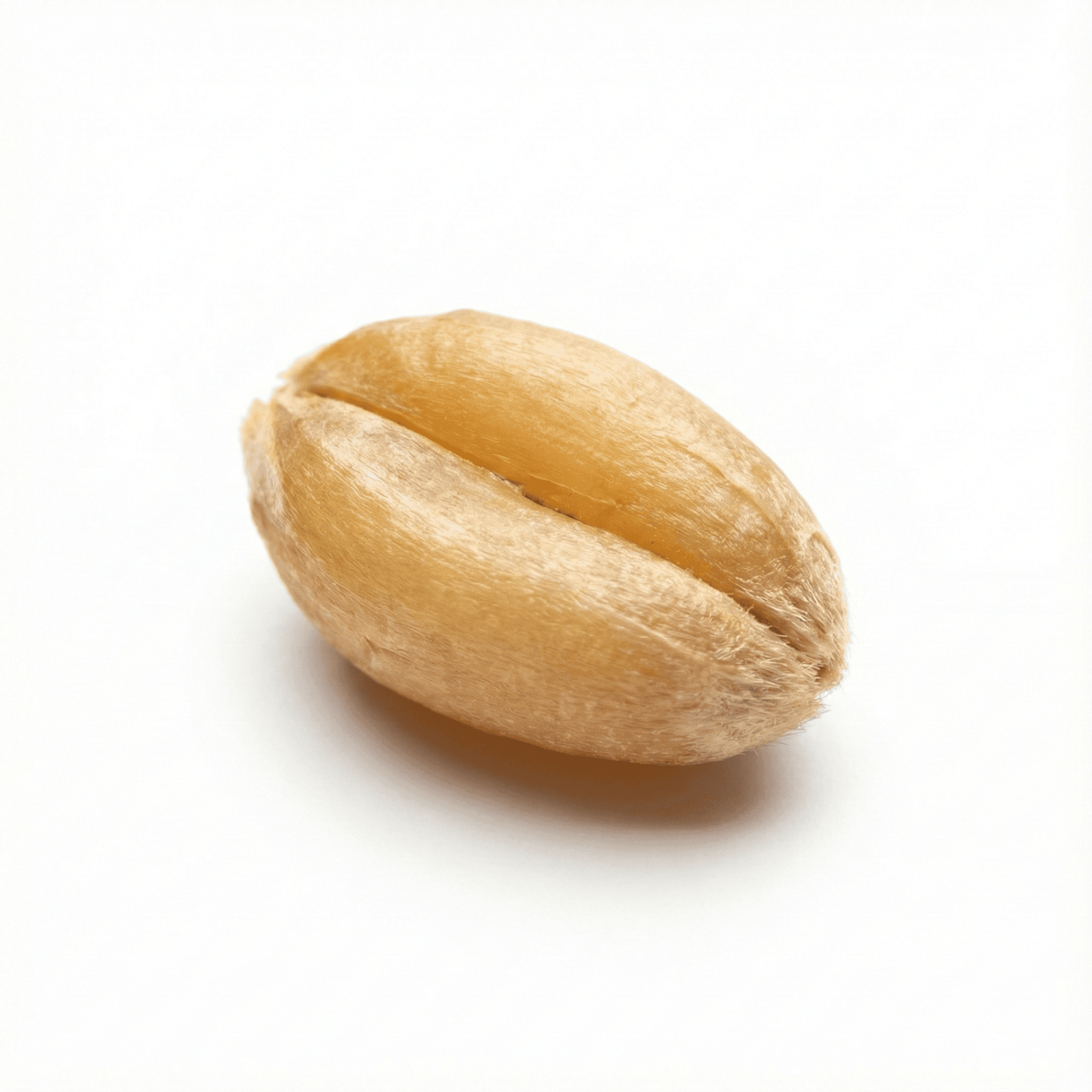 Light Wheat (Fu Xiao Mai)