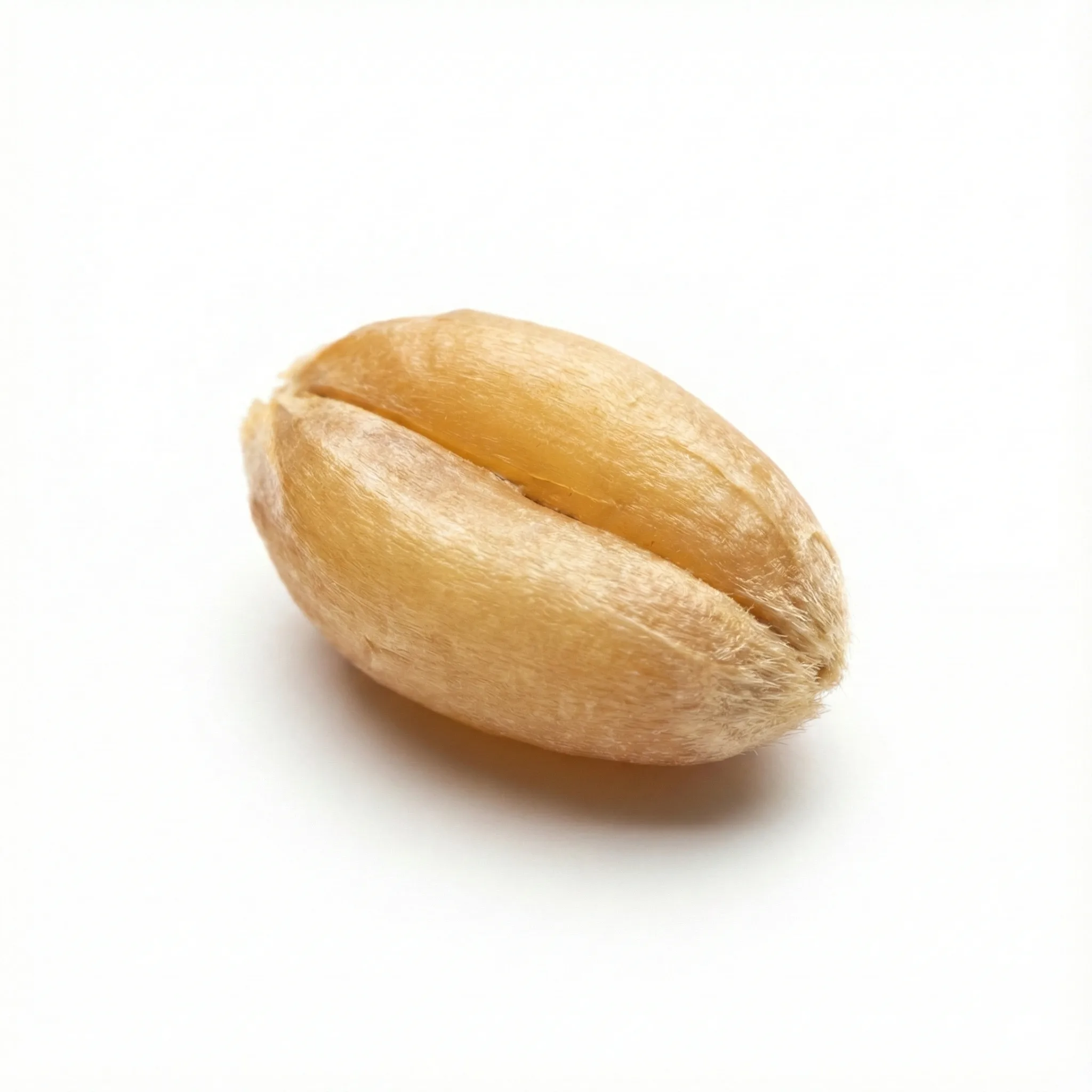 Light Wheat (Fu Xiao Mai)