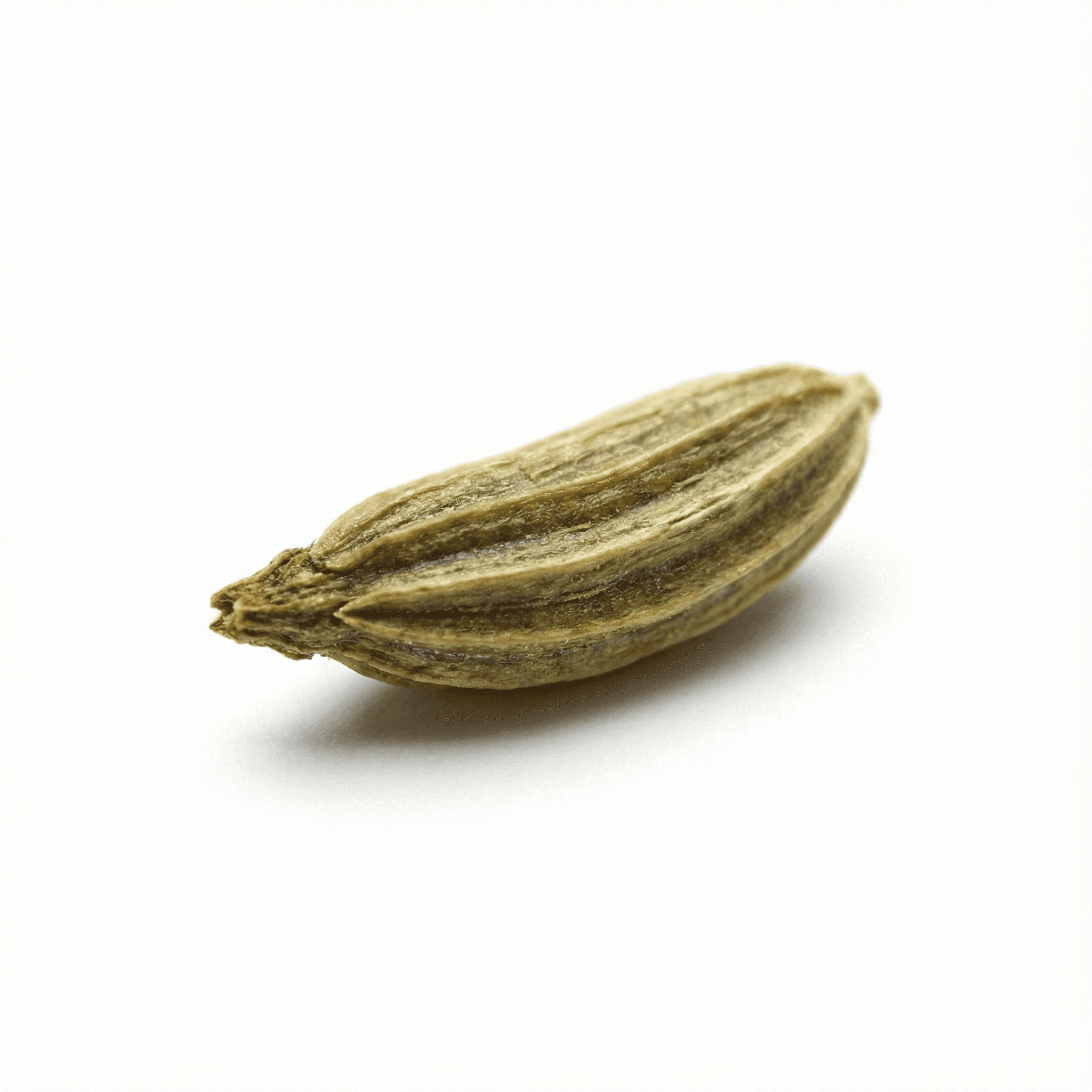 Fennel Fruit (Xiao Hui Xiang)