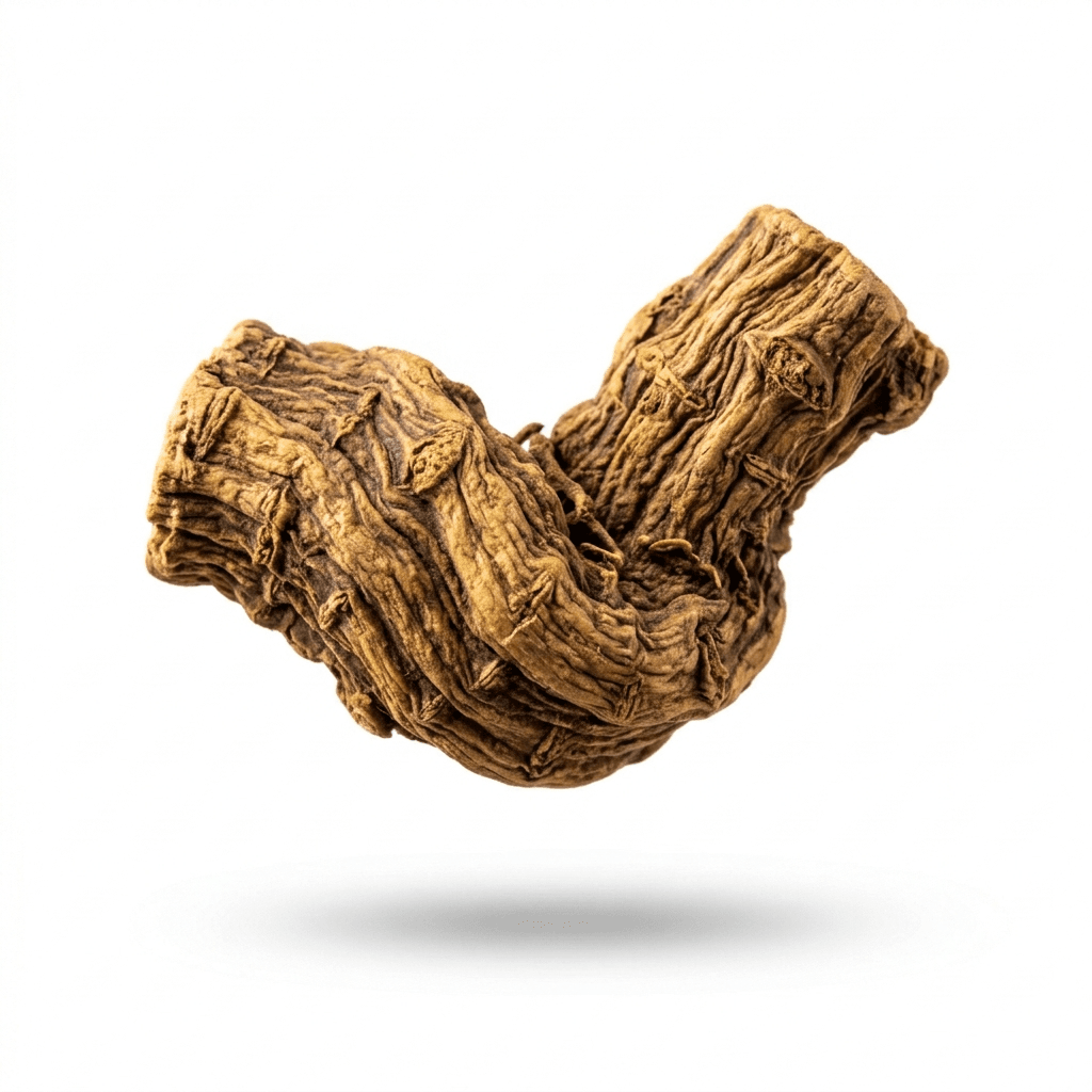 Achyranthes Root (Niu Xi)