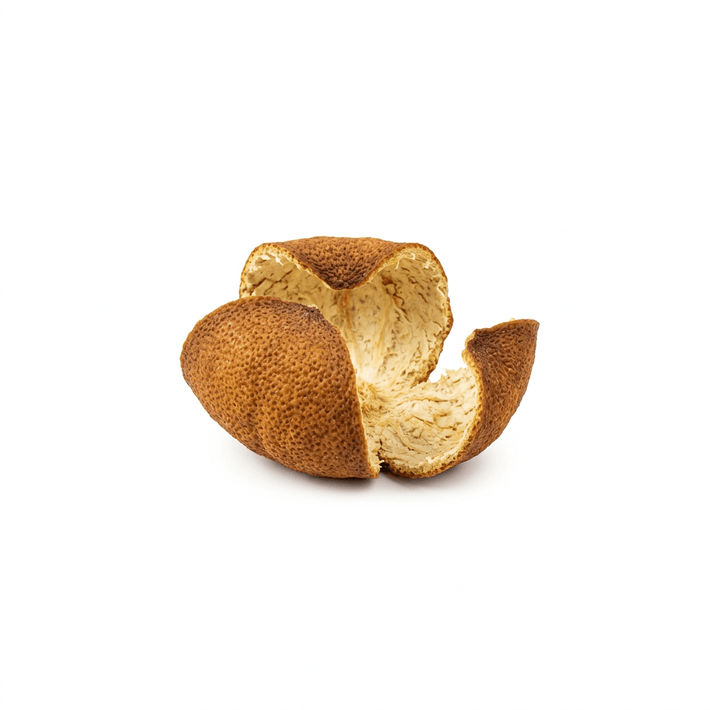 Aged Tangerine Peel (Chen Pi)