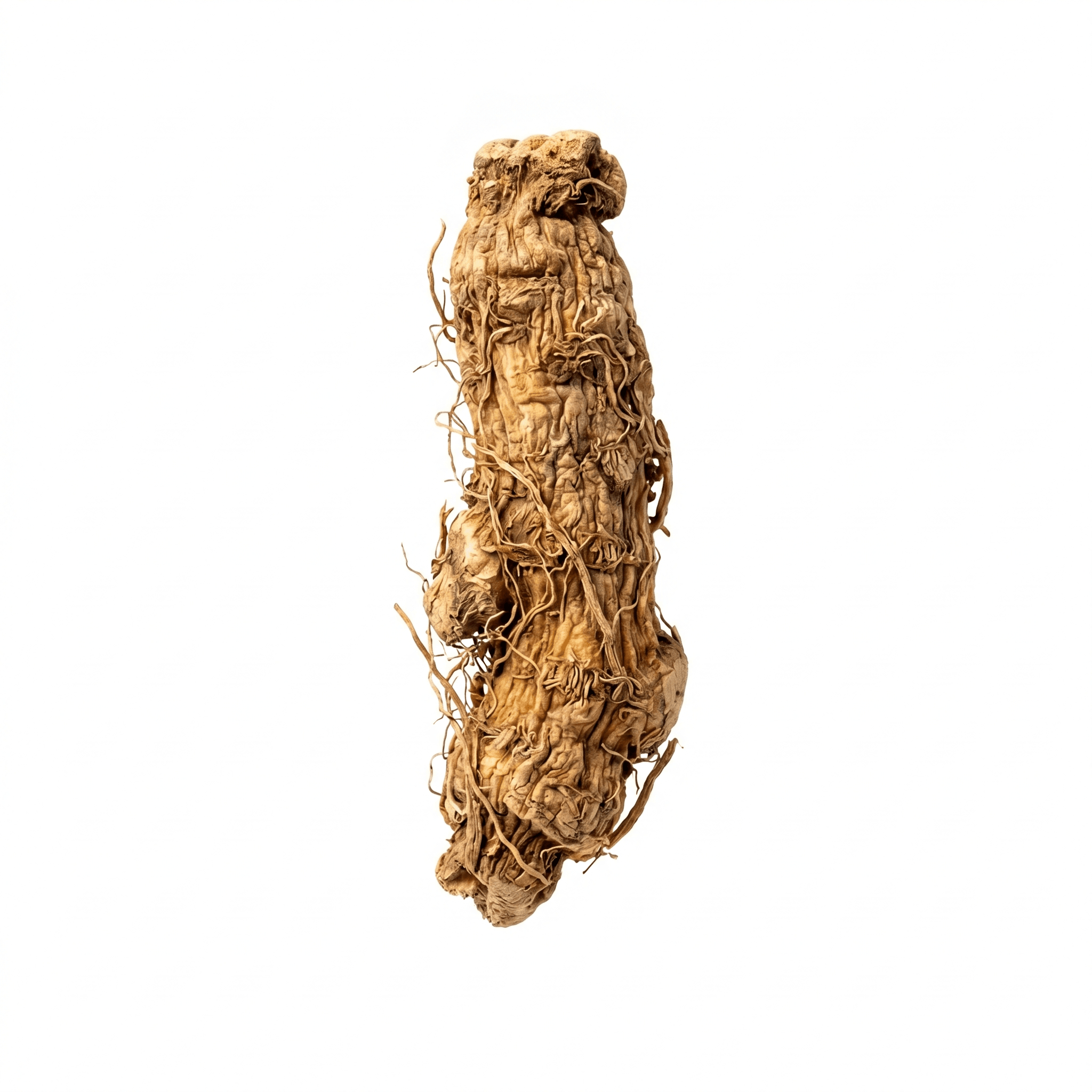 Anemarrhena Rhizome (Zhi Mu)