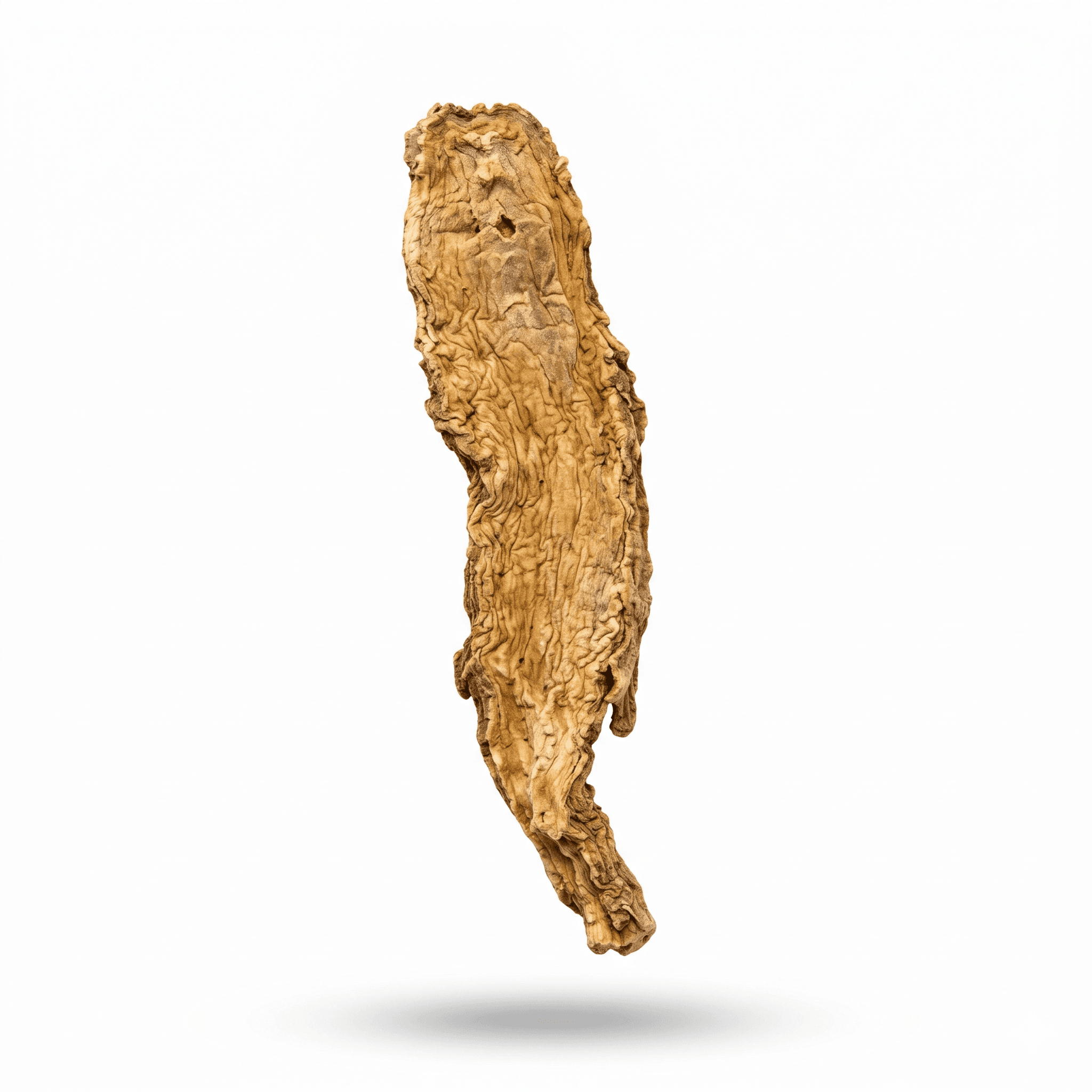 Angelica Pubescens Root (Du Huo)