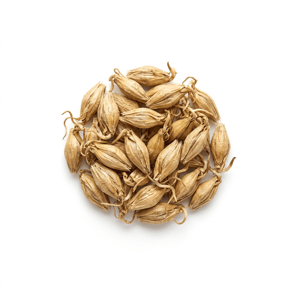 Barley dried germinated ripe fruit (Mai Ya)