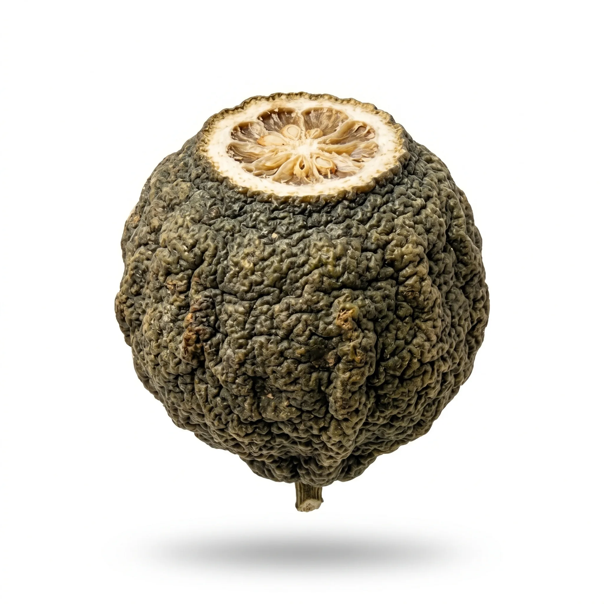 Bitter Orange Young Fruit (Zhi Shi)