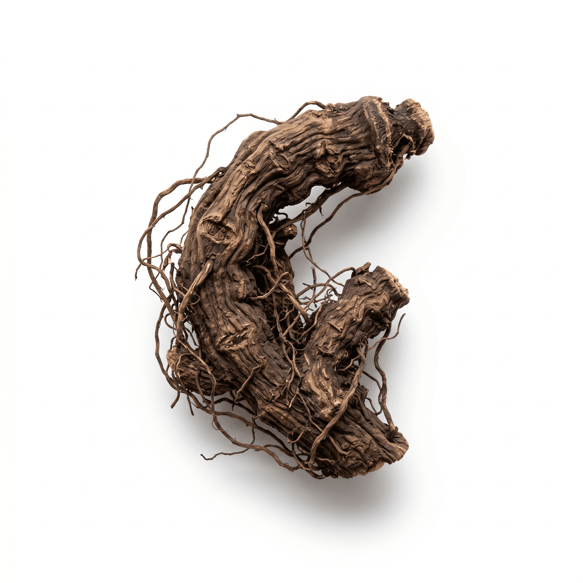 Black Cohosh Rhizome (Sheng Ma)