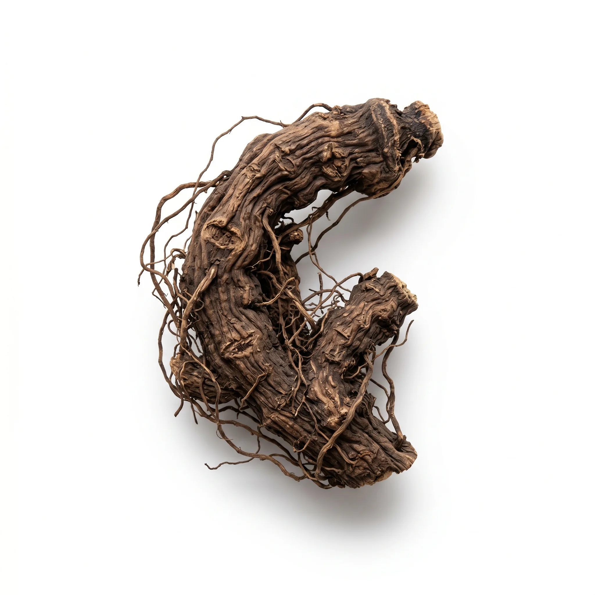 Black Cohosh Rhizome (Sheng Ma)