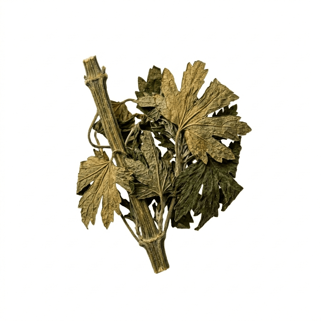 Chinese Motherwort (Yi Mu Cao)
