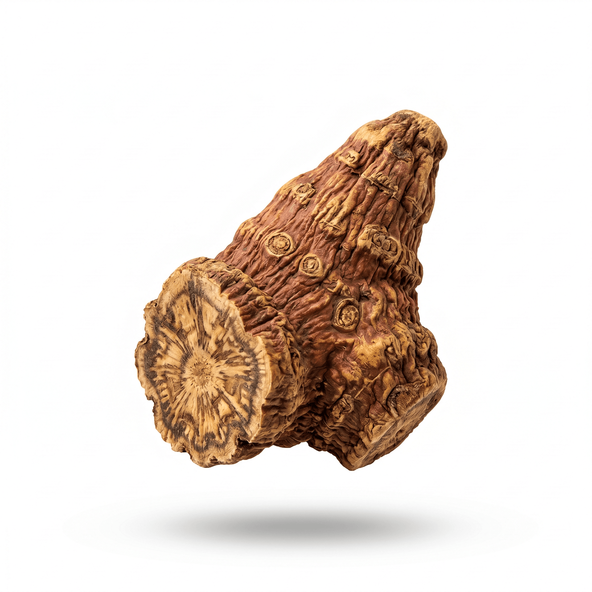 Chinese Rhubarb Root and Rhizome (Da Huang)