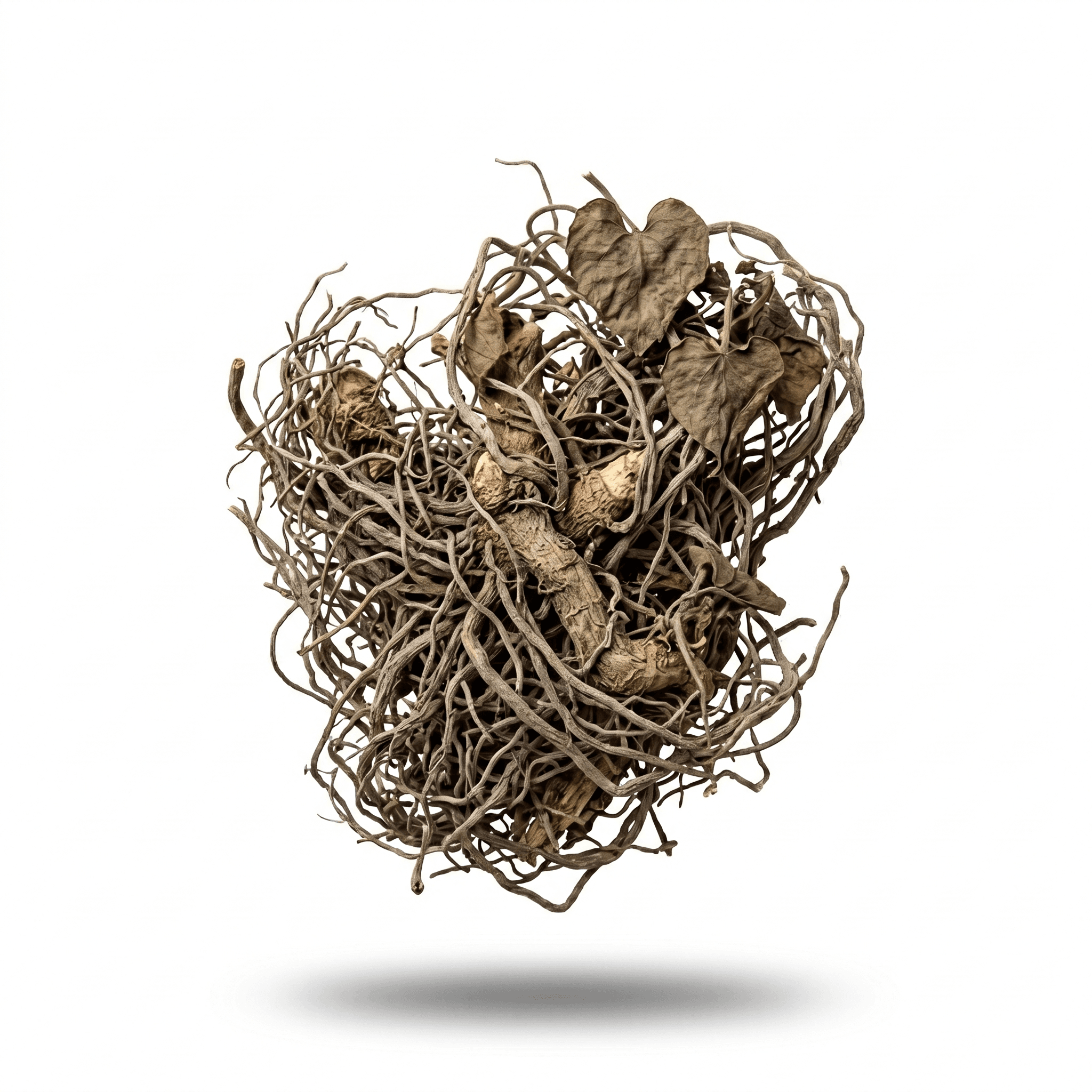 Chinese Wild Ginger (Xi Xin)