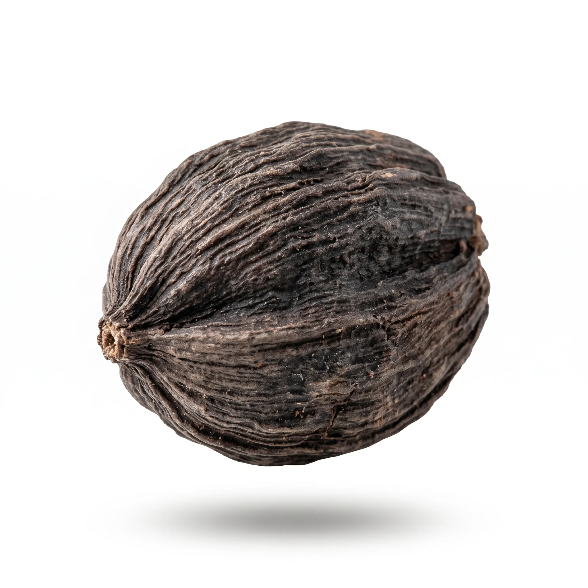 Cinnamon Bark (Rou Gui (Xin))