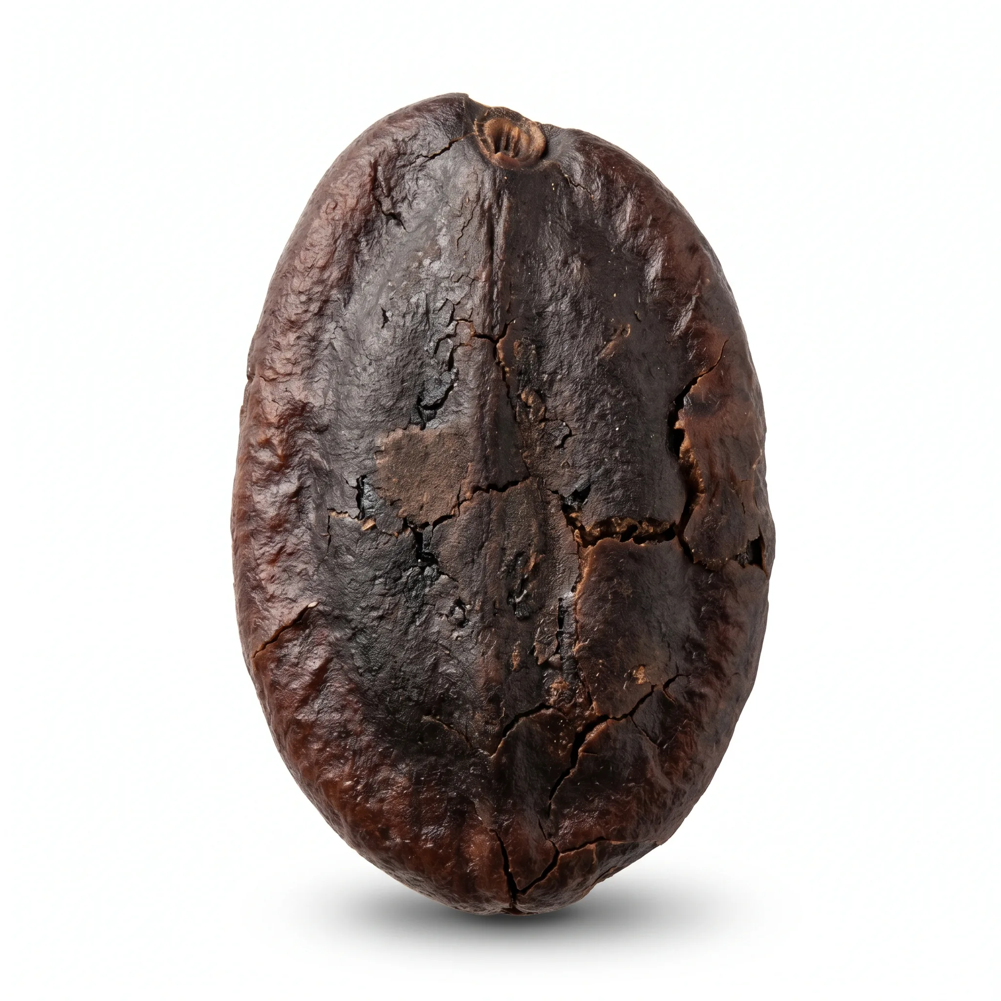 Dry Fried/Roasted Jujube Seed (Chao Suan Zao Ren)