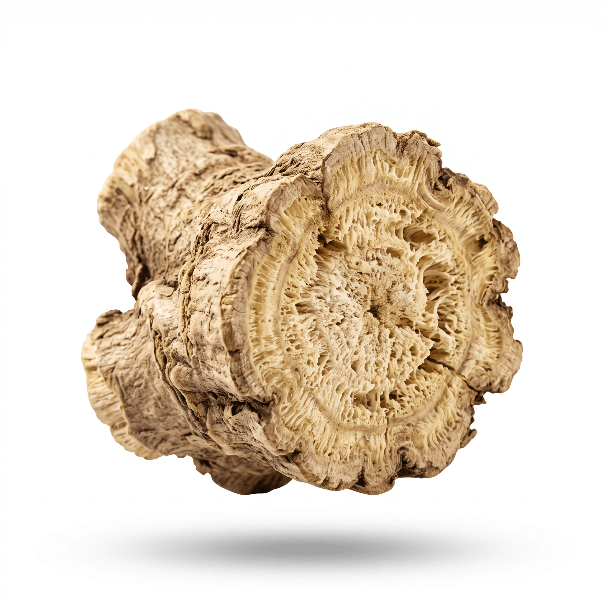 Kudzu Root (Ge Gen)