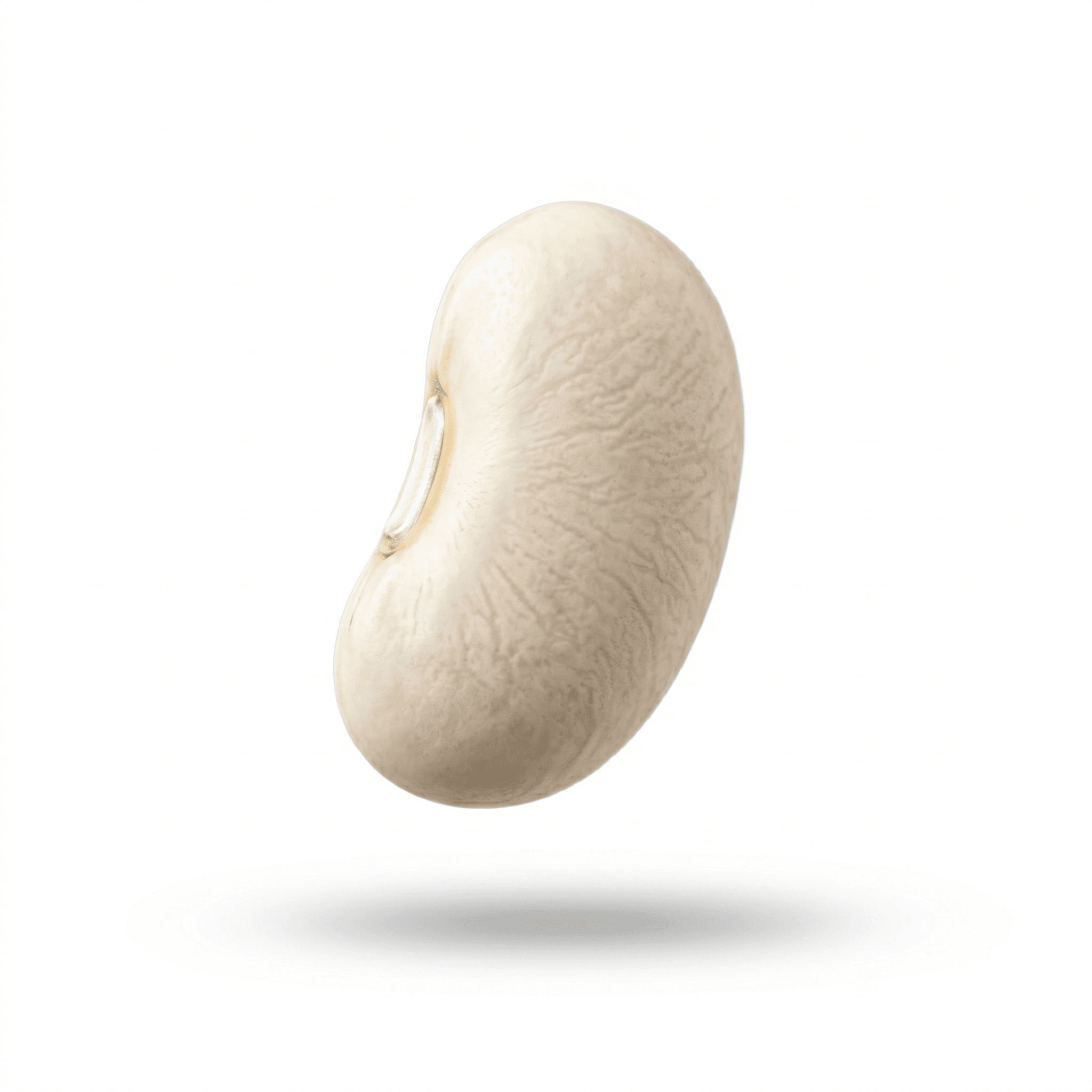 Lotus Seed (Lian Zi)