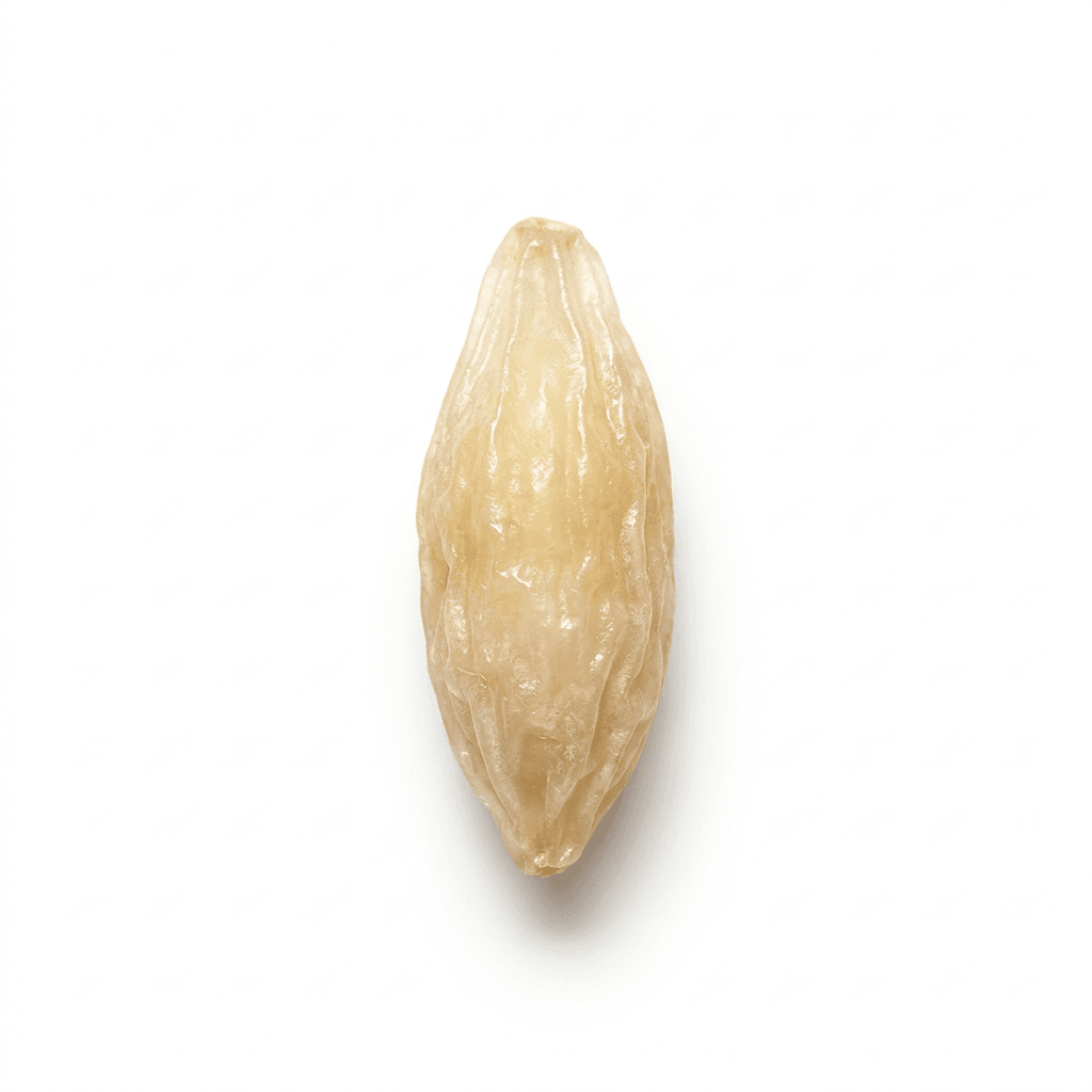 Ophiopogon Tuber (Mai Men Dong)