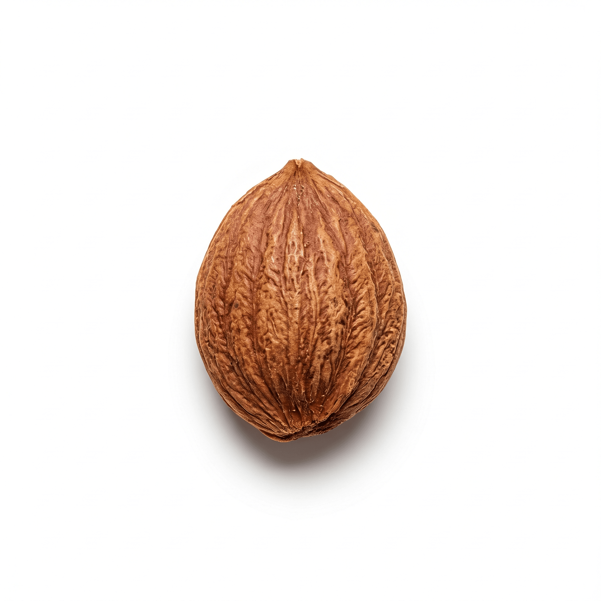 Peach Kernel (Tao Ren)