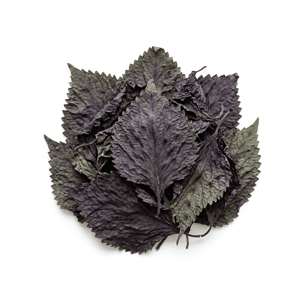 Perilla Leaf (Zi Su Ye)