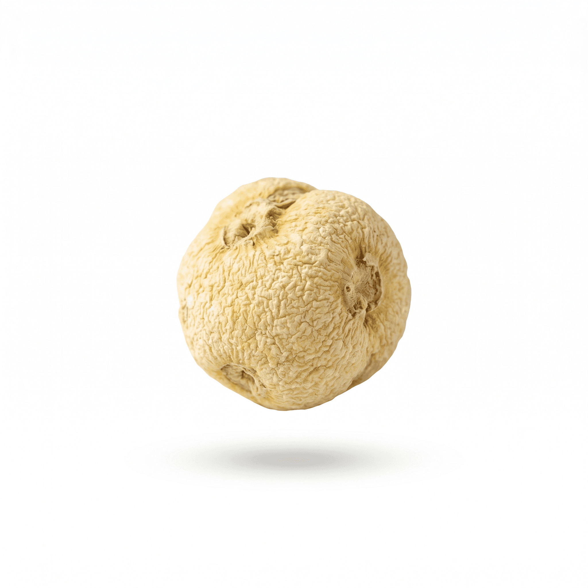 Pinellia Rhizome (Ban Xia)