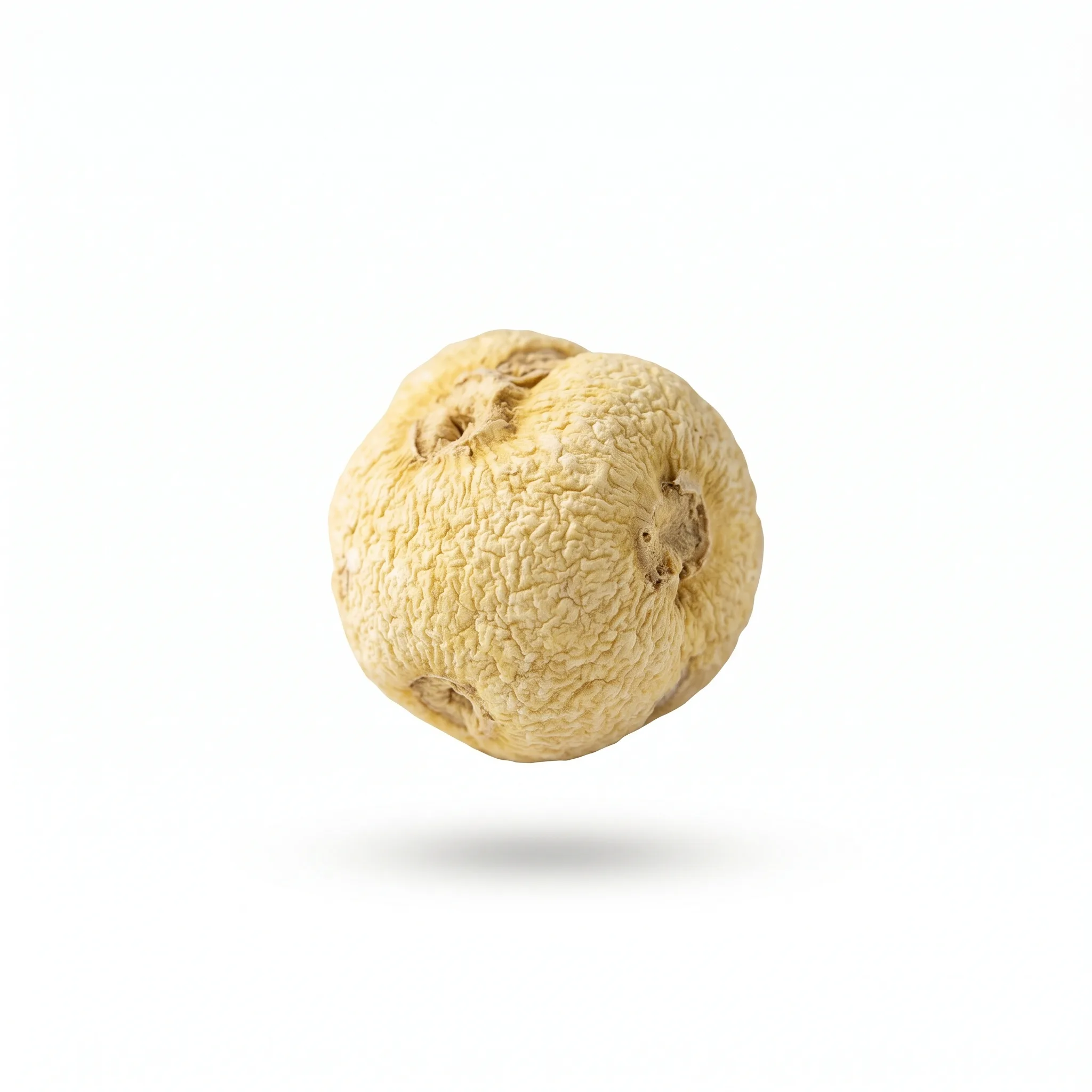 Pinellia Rhizome (Ban Xia)