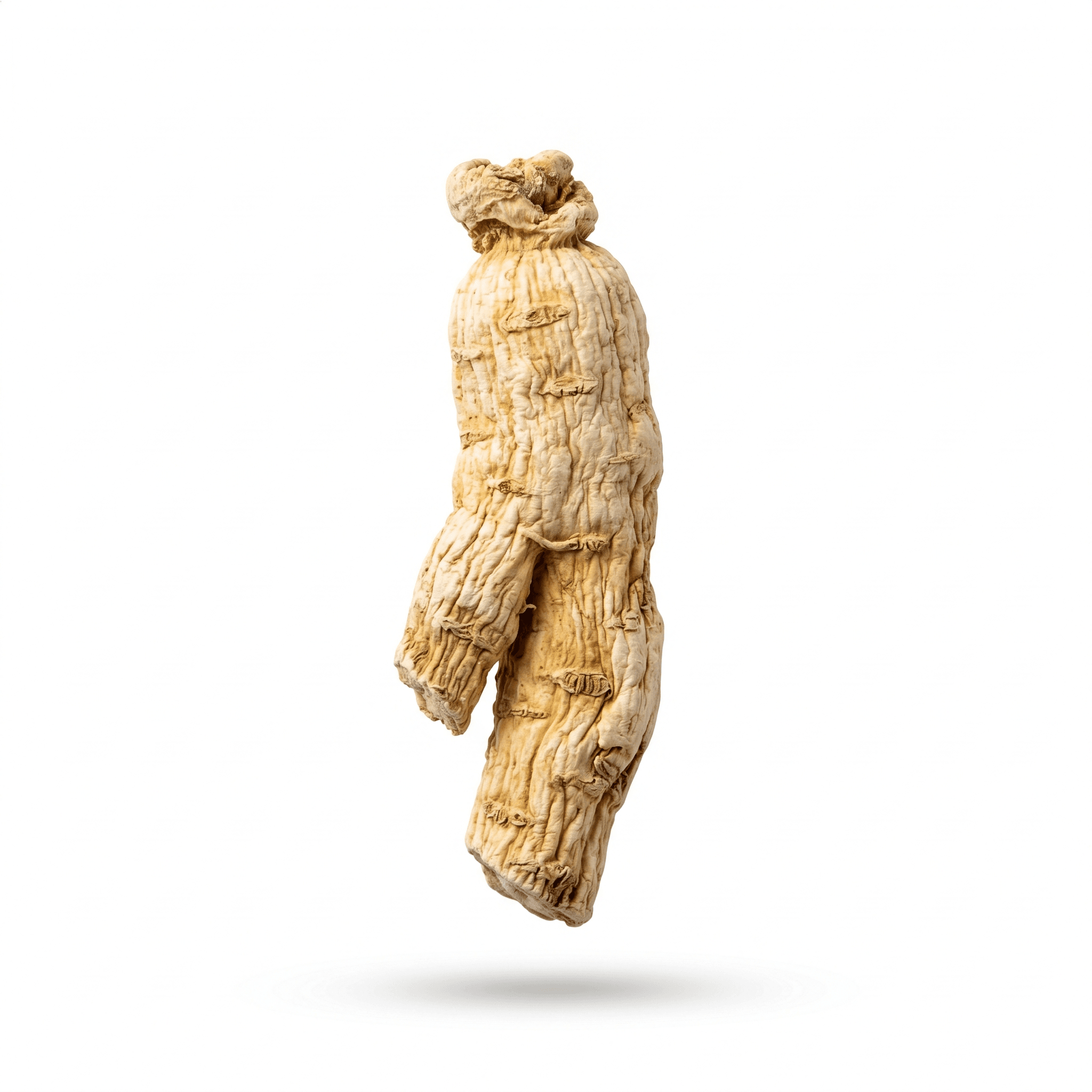 Platycodon Root (Jie Geng)