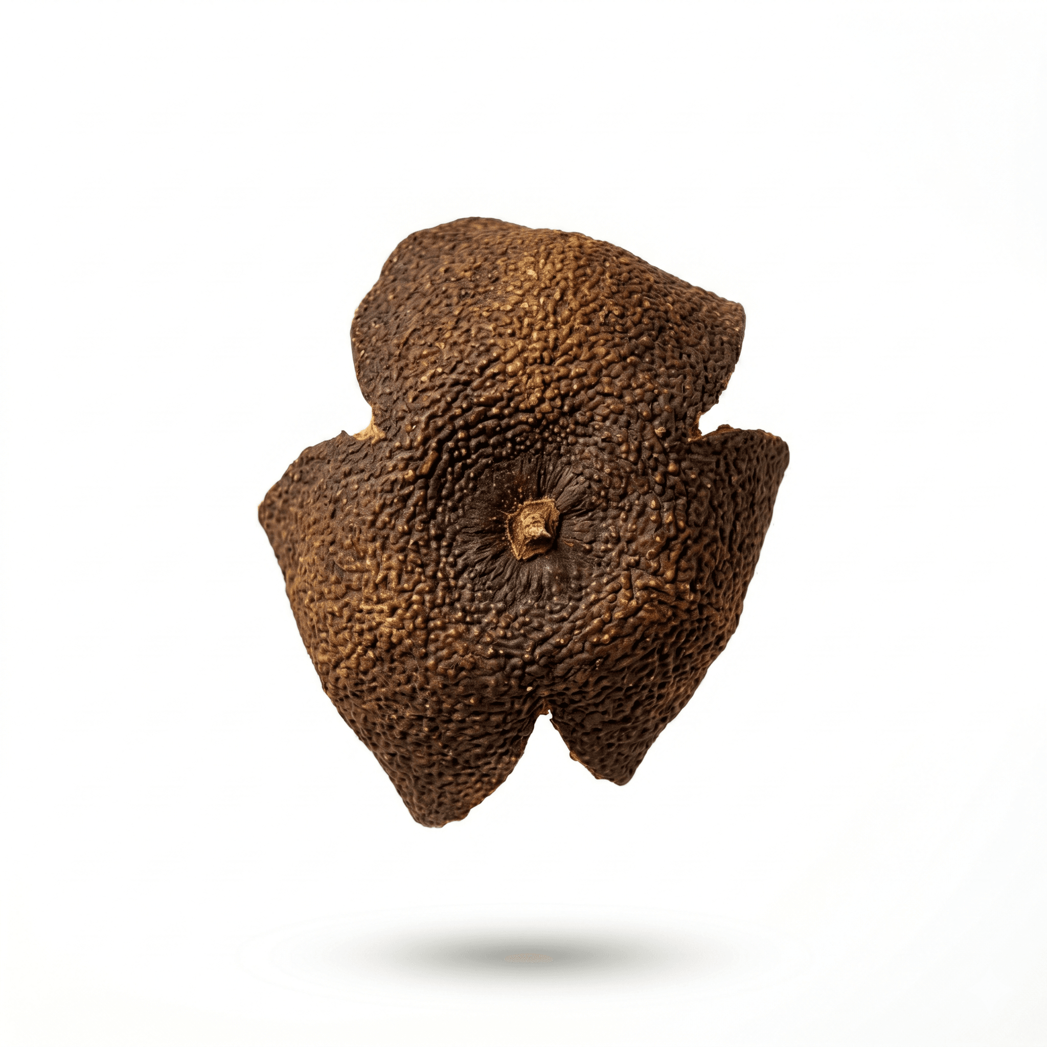 Pomelo peel (Hua Ju Hong)