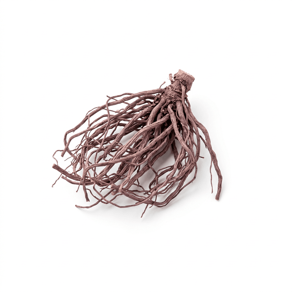 Purple Aster Root (Zi Wan)