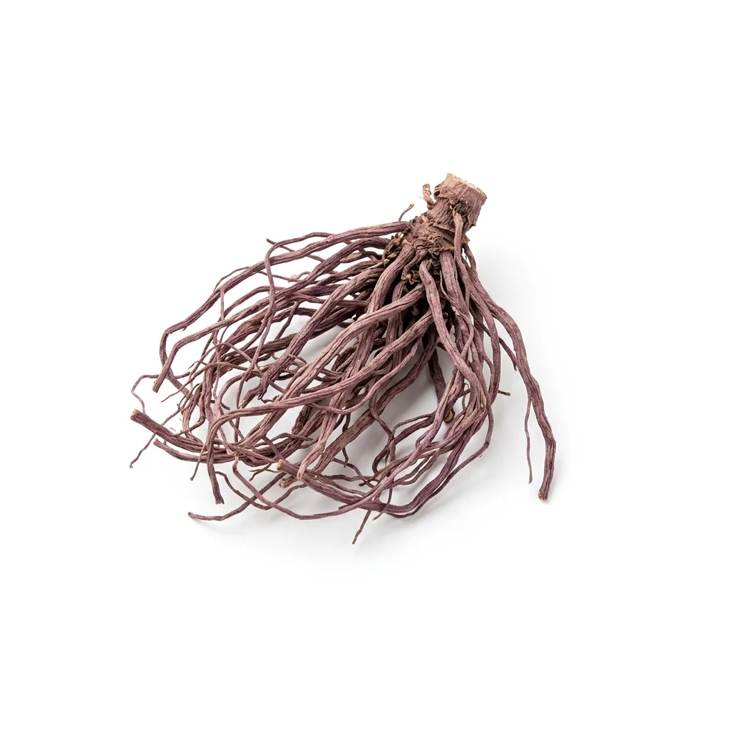 Purple Aster Root (Zi Wan)