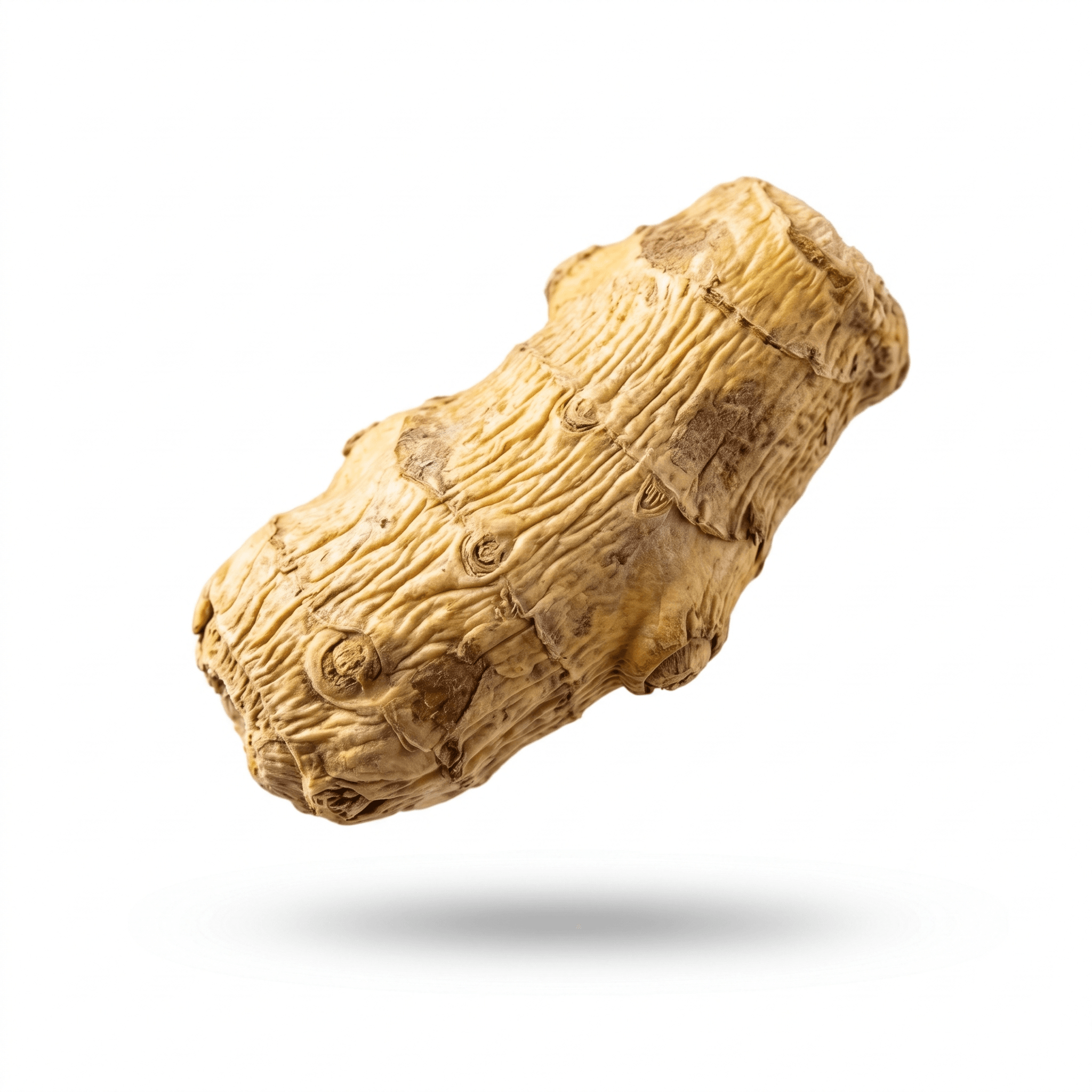 Reed Rhizome (Lu Gen)