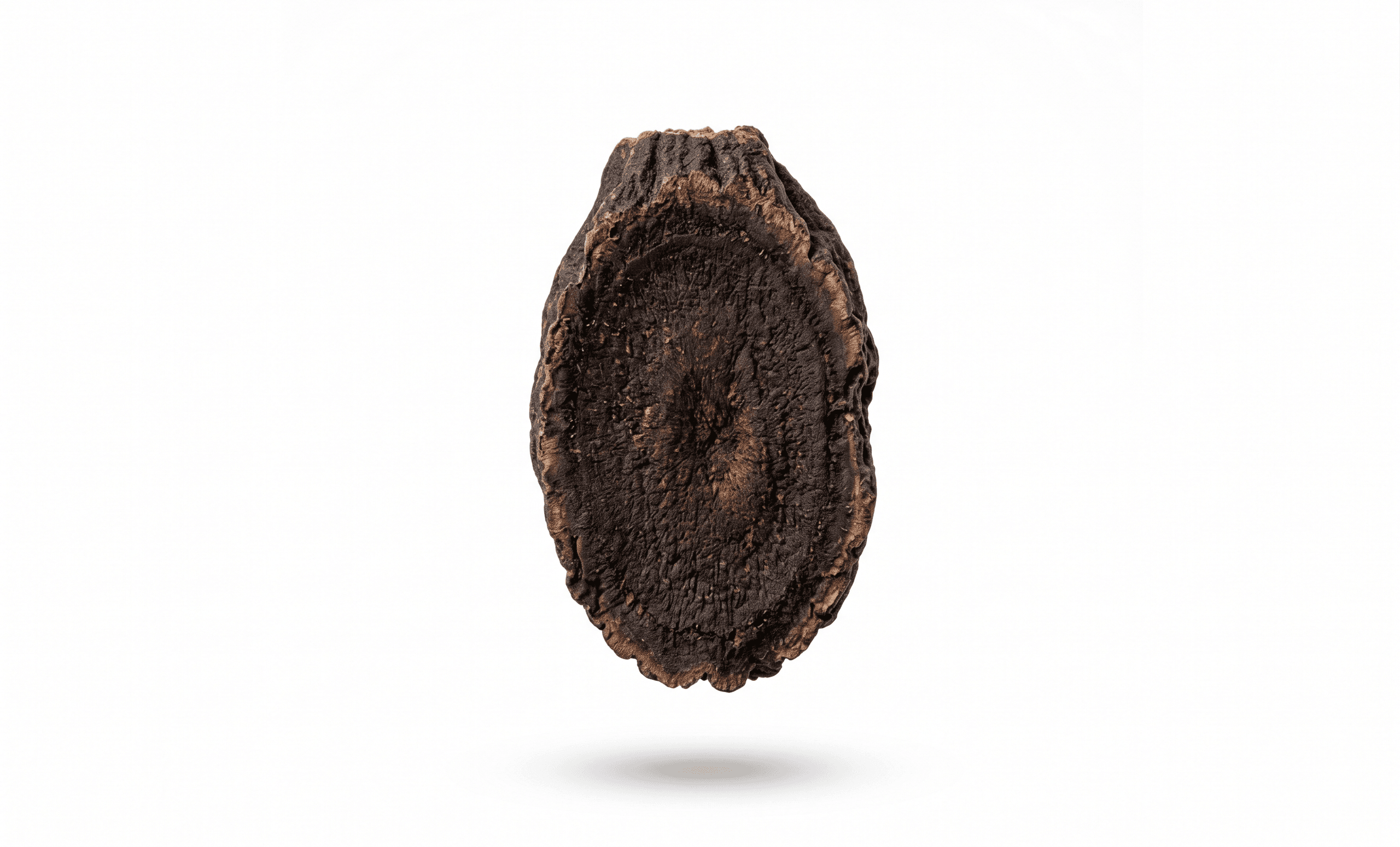 Roasted Sichuan Aconite (Pao Fu Zi)