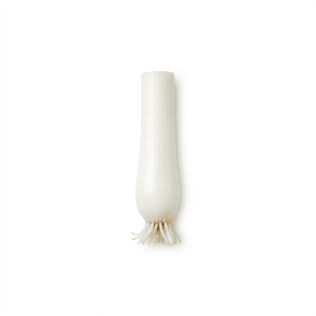 Green Onion (Cong Bai)