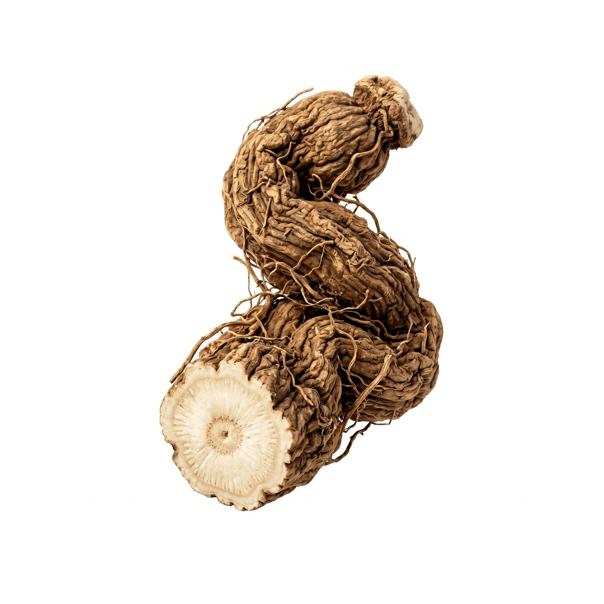 Stemona Root Tuber (Bai Bu)