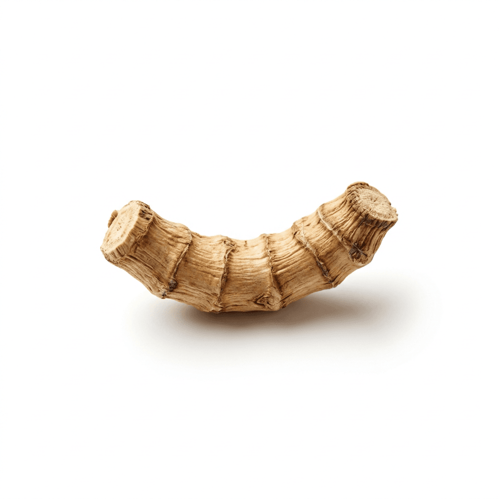 Sweetflag Rhizome (Shi Chang Pu)
