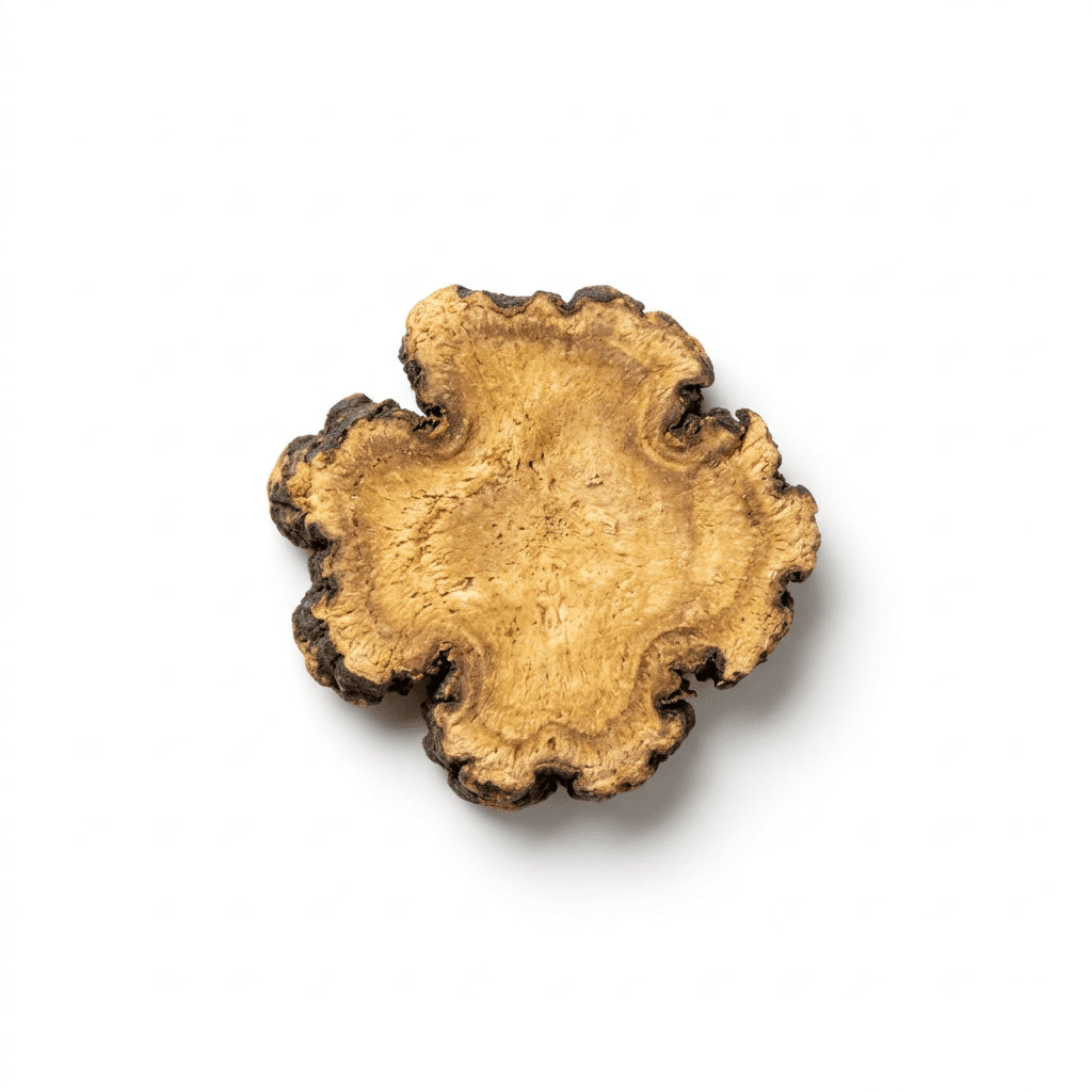 Szechuan Lovage Root (Chuan Xiong)