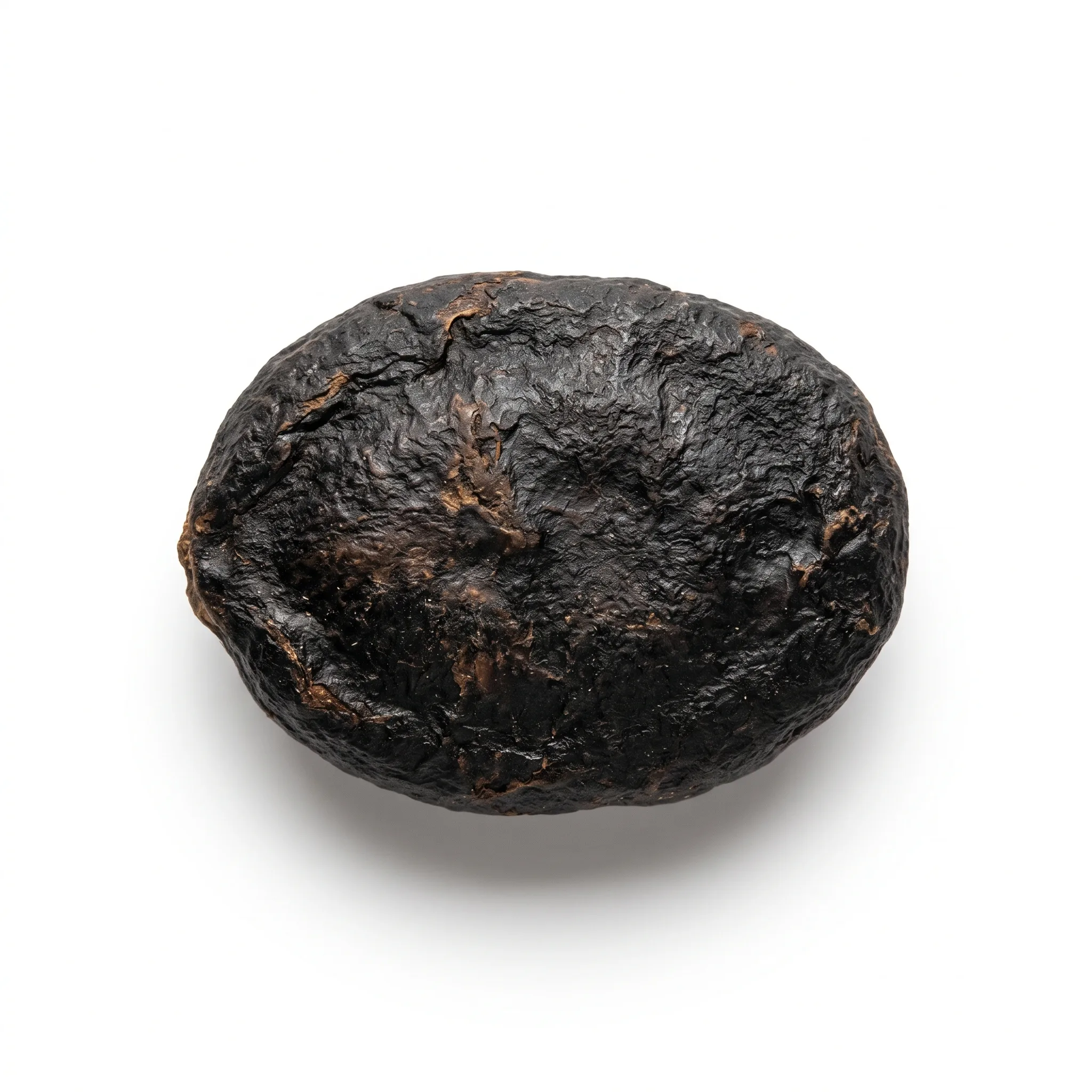 Trichosanthes Seed (Gua Lou Ren)