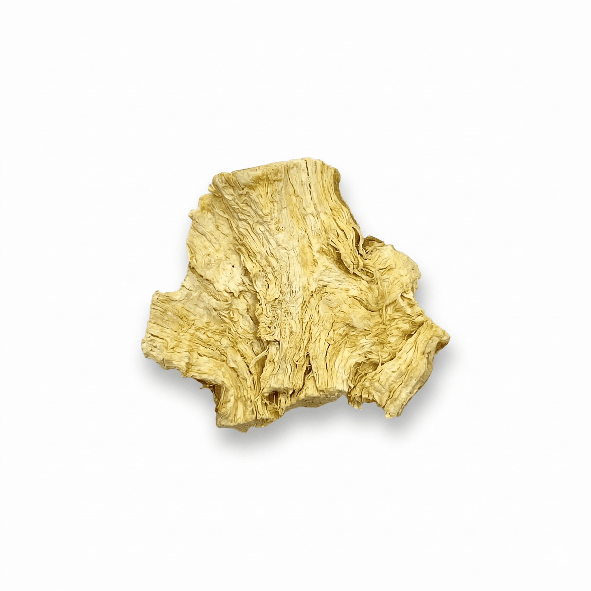 White Mulberry Root Bark (Sang Bai Pi)