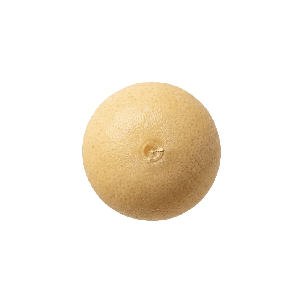 White Mustard Seed (Bai Jie Zi)