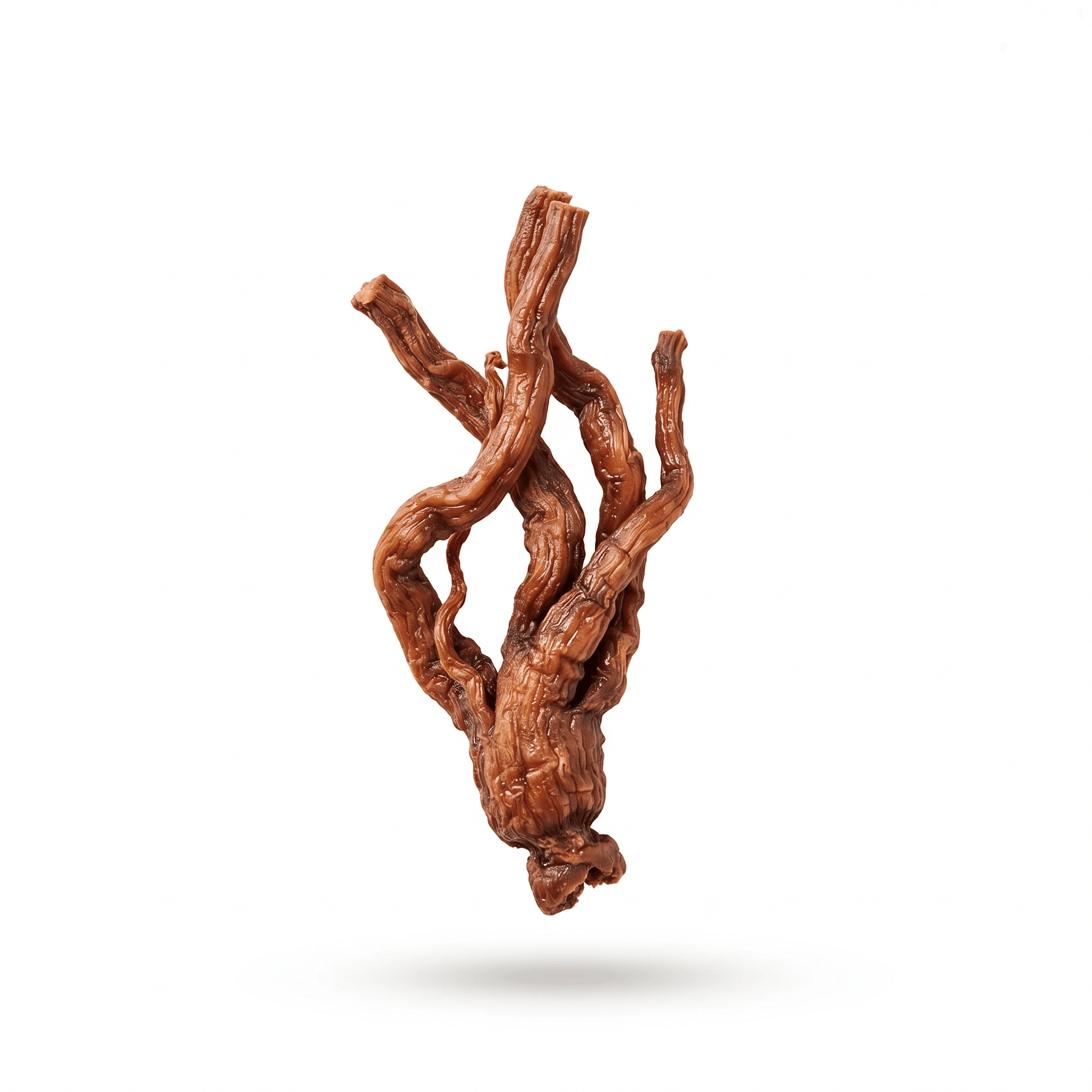 Wine‑processed Chinese Angelica Root (Jiu Xi Dang Gui)